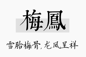 梅凤名字的寓意及含义