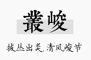 丛峻名字的寓意及含义