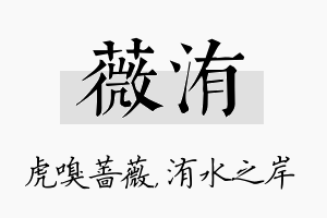 薇洧名字的寓意及含义