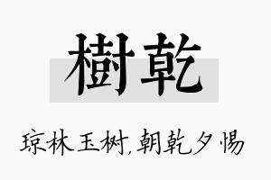 树乾名字的寓意及含义