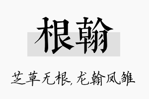 根翰名字的寓意及含义