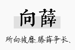 向薛名字的寓意及含义