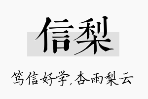 信梨名字的寓意及含义