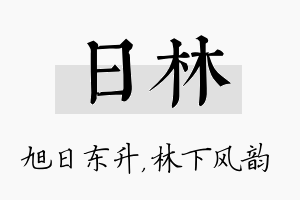 日林名字的寓意及含义