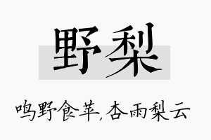 野梨名字的寓意及含义