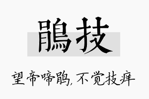 鹃技名字的寓意及含义