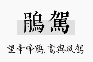 鹃驾名字的寓意及含义