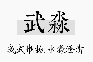 武淼名字的寓意及含义