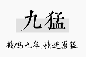 九猛名字的寓意及含义