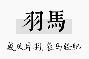 羽马名字的寓意及含义