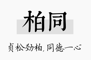 柏同名字的寓意及含义