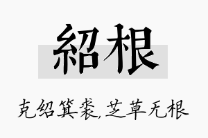 绍根名字的寓意及含义