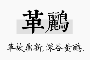 革鹂名字的寓意及含义