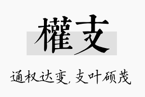 权支名字的寓意及含义