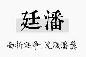 廷潘名字的寓意及含义