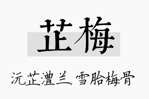 芷梅名字的寓意及含义