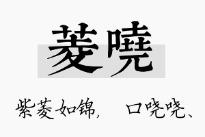 菱哓名字的寓意及含义