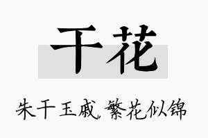 干花名字的寓意及含义