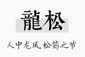 龙松名字的寓意及含义