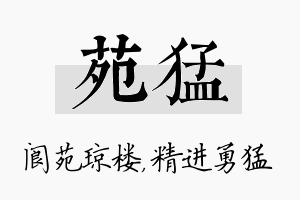 苑猛名字的寓意及含义