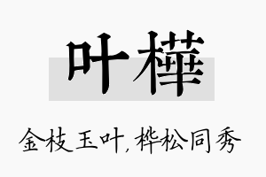 叶桦名字的寓意及含义