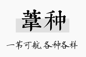 苇种名字的寓意及含义