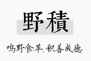 野积名字的寓意及含义