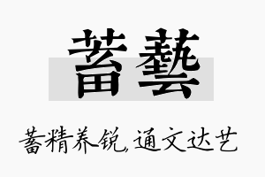 蓄艺名字的寓意及含义