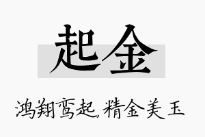 起金名字的寓意及含义