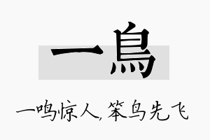 一鸟名字的寓意及含义