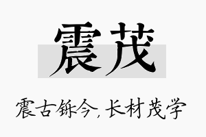 震茂名字的寓意及含义