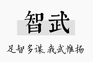 智武名字的寓意及含义