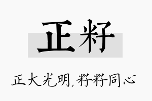 正籽名字的寓意及含义