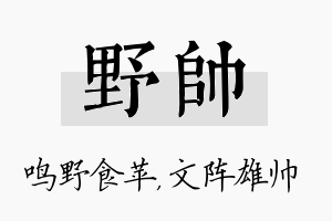 野帅名字的寓意及含义