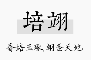 培翊名字的寓意及含义