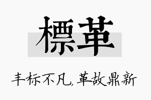 标革名字的寓意及含义