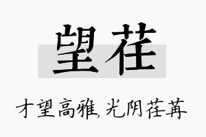 望荏名字的寓意及含义