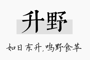 升野名字的寓意及含义