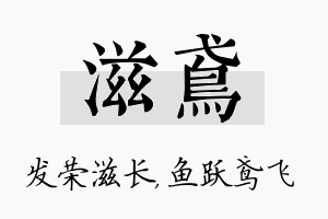 滋鸢名字的寓意及含义