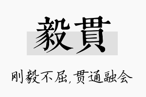 毅贯名字的寓意及含义