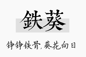 铁葵名字的寓意及含义