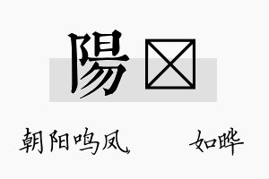 阳珺名字的寓意及含义