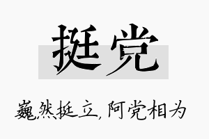 挺党名字的寓意及含义