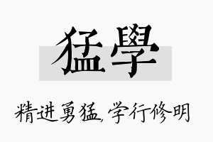 猛学名字的寓意及含义