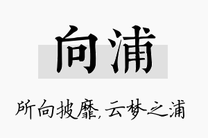 向浦名字的寓意及含义