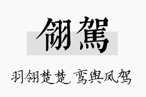 翎驾名字的寓意及含义