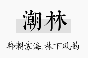 潮林名字的寓意及含义