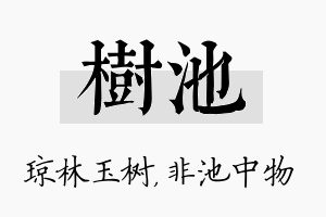 树池名字的寓意及含义