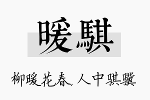 暖骐名字的寓意及含义