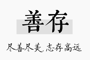 善存名字的寓意及含义